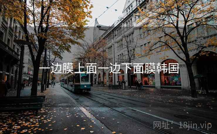 一边膜上面一边下面膜韩国  第2张