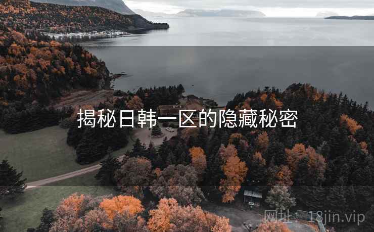 揭秘日韩一区的隐藏秘密  第1张