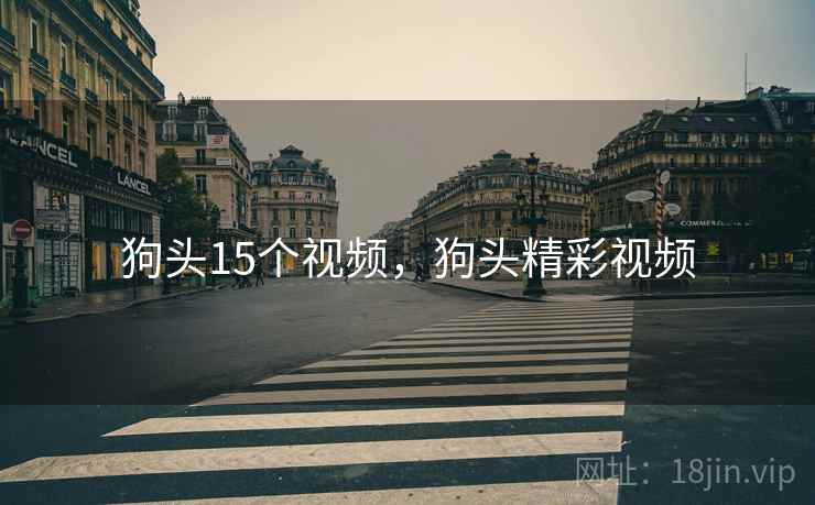狗头15个视频，狗头精彩视频  第1张
