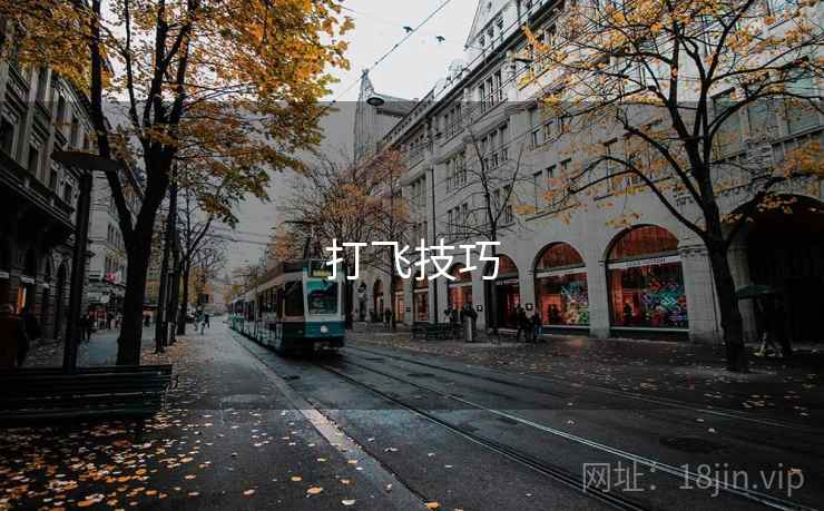 打飞技巧  第1张