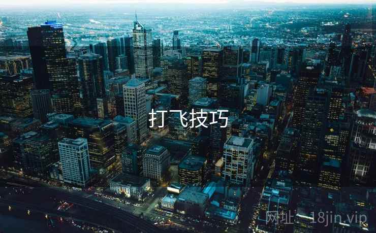 打飞技巧  第2张