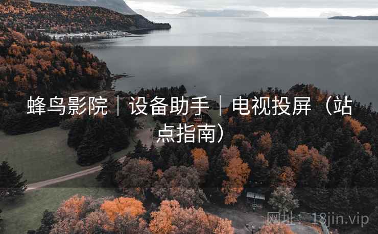 蜂鸟影院｜设备助手｜电视投屏（站点指南）  第1张