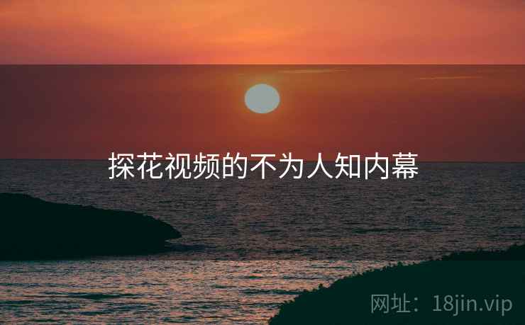 探花视频的不为人知内幕  第1张 探花视频的不为人知内幕  第1张