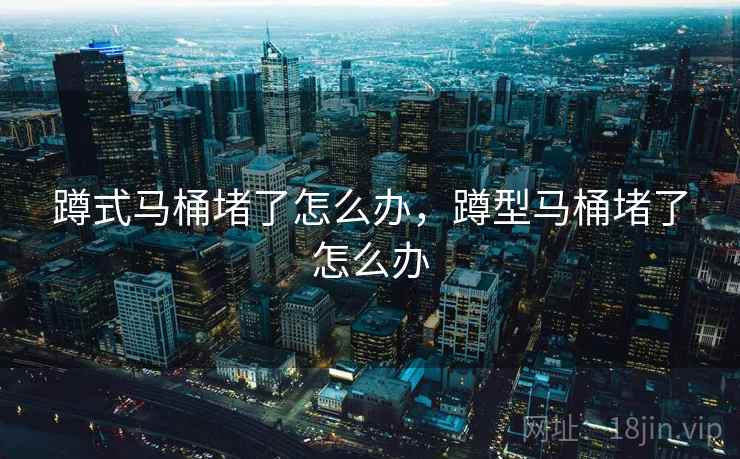 蹲式马桶堵了怎么办,蹲型马桶堵了怎么办  第2张 蹲式马桶堵了怎么办,蹲型马桶堵了怎么办  第2张