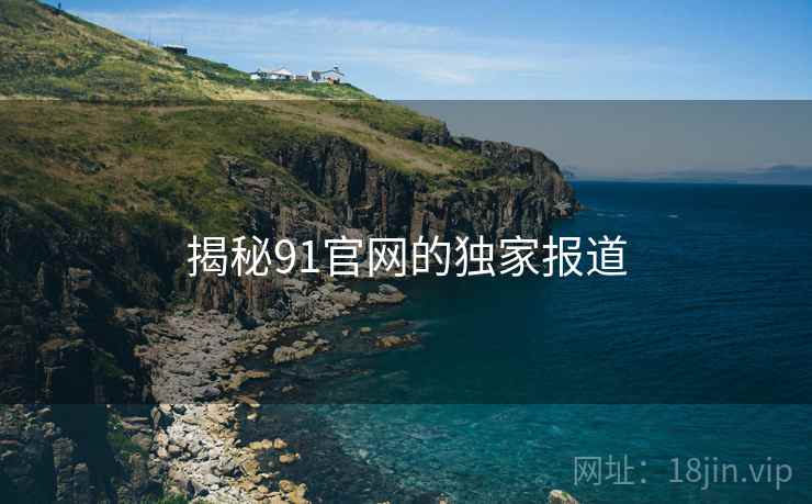 揭秘91官网的独家报道  第1张 揭秘91官网的独家报道  第1张