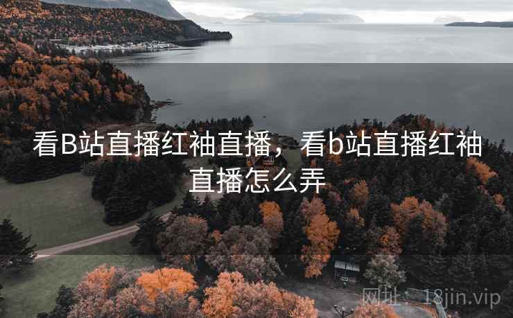 看B站直播红袖直播,看b站直播红袖直播怎么弄  第3张 看B站直播红袖直播,看b站直播红袖直播怎么弄  第3张